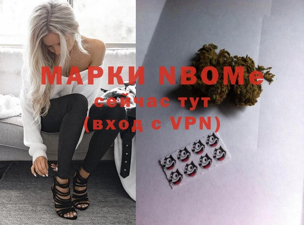 мдпв Пересвет