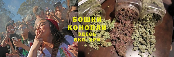PSILOCYBIN Осинники